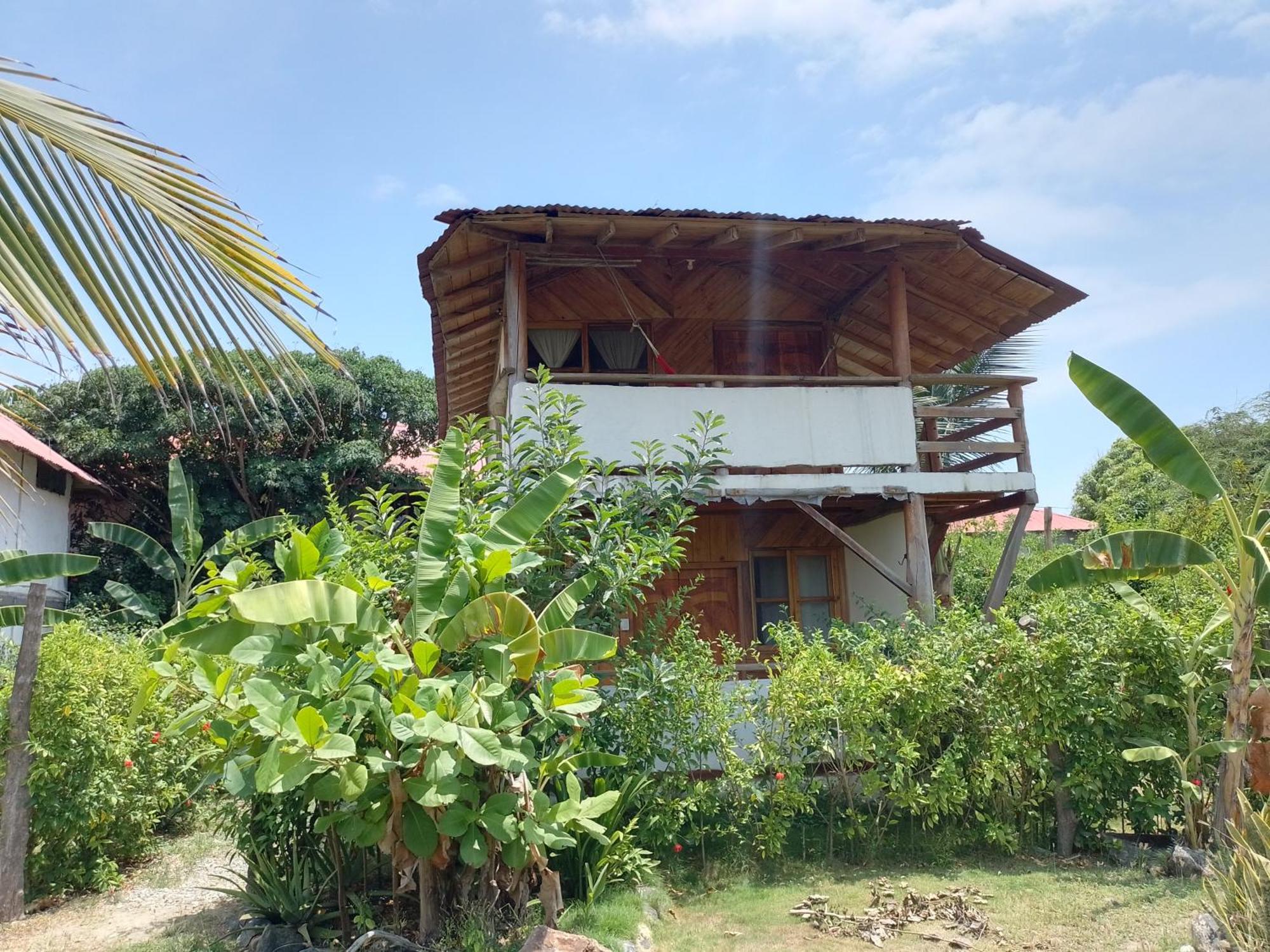 Hotel Palma Coco Ayampe Εξωτερικό φωτογραφία
