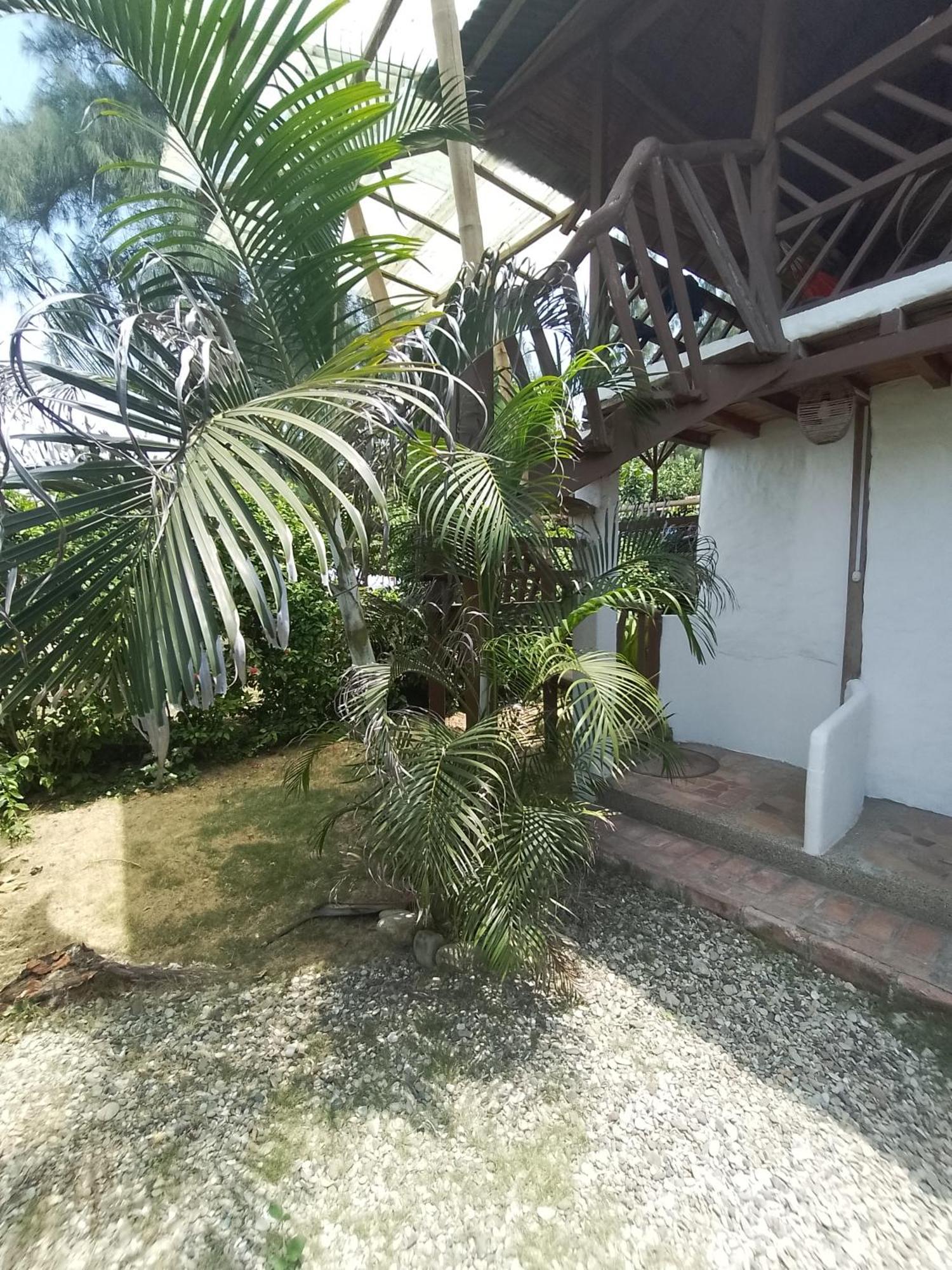 Hotel Palma Coco Ayampe Εξωτερικό φωτογραφία